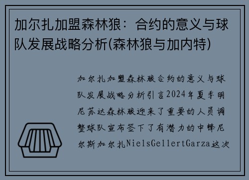 加尔扎加盟森林狼：合约的意义与球队发展战略分析(森林狼与加内特)